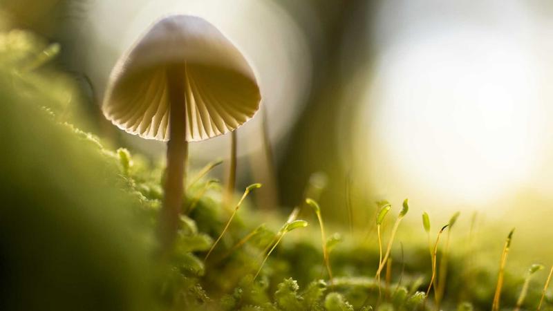 hga皇冠官网竞猜服务主视觉